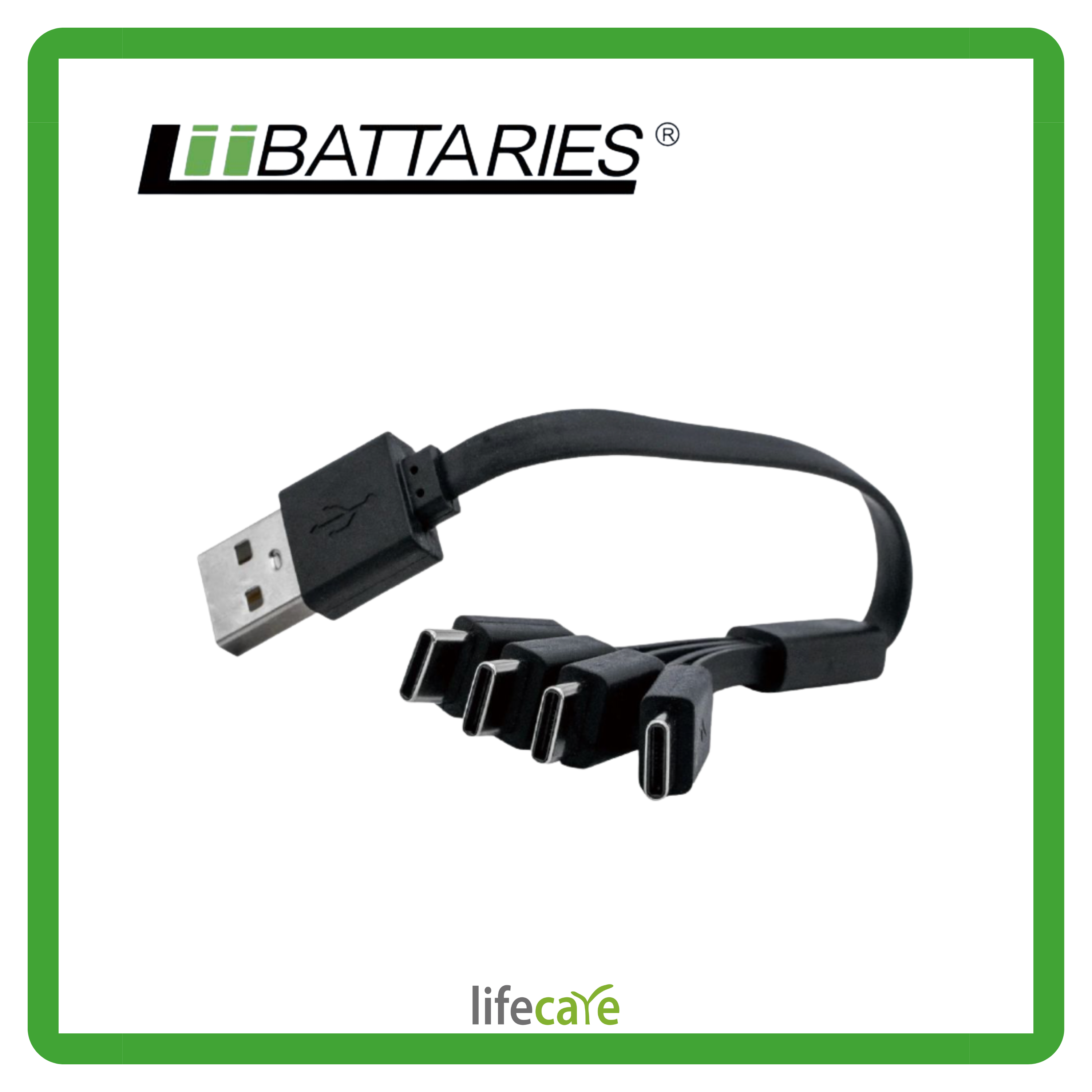 LiiBATTARIES 1出4 4 X USB-C 電充線 (19cm)
